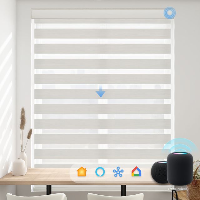 A-OK Motorized Dual Layers Zebra Shades
