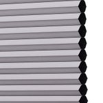 Dim Grey