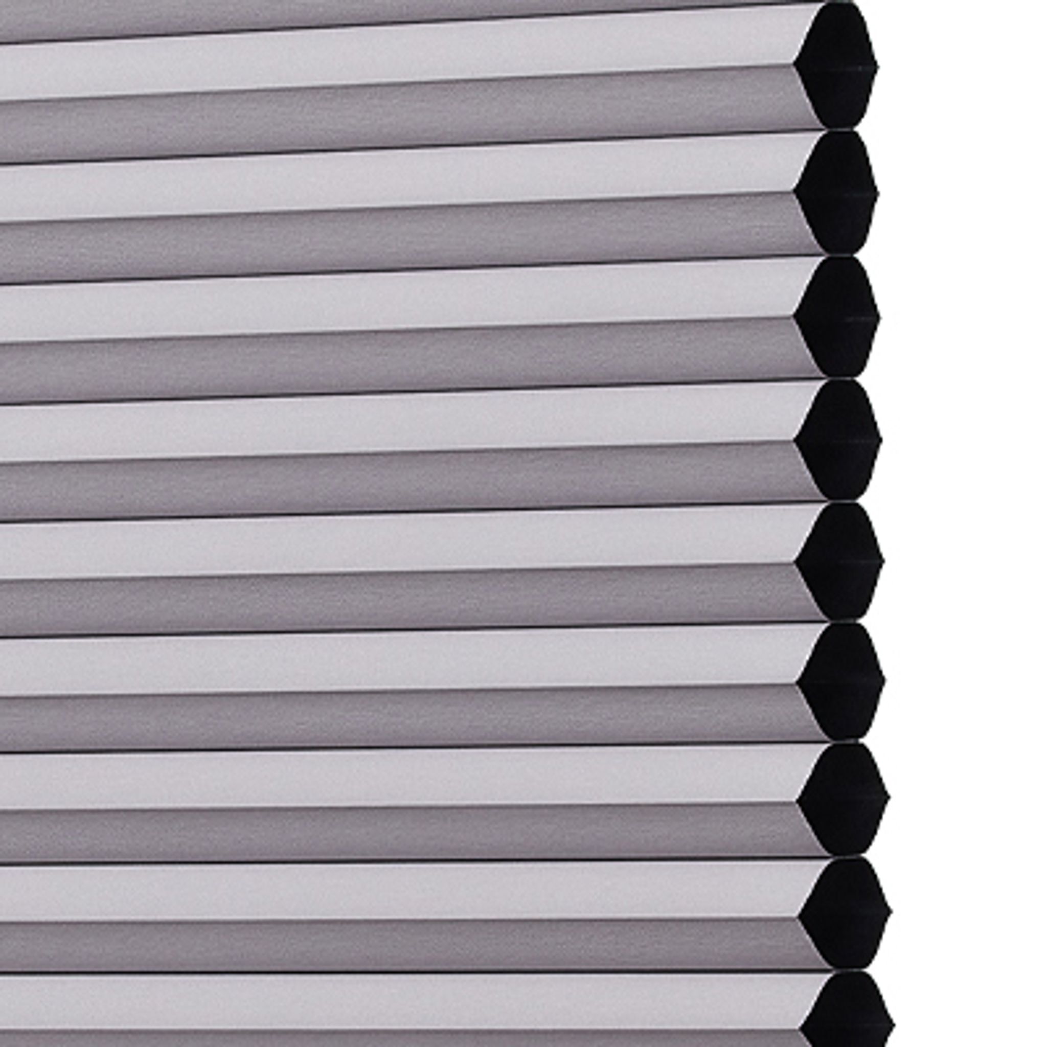 Dim Grey
