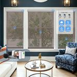 A-OK Motorized 70-80% Blackout Shangri-La Sheer Shades for living room