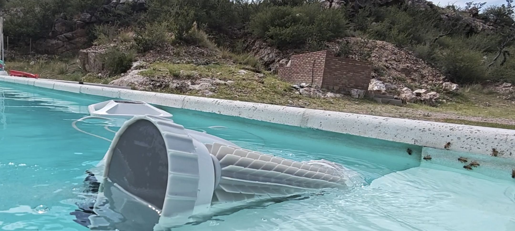 pool maintenance