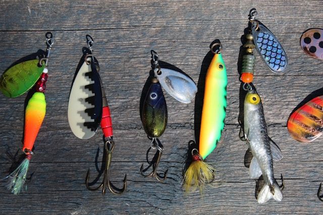 Fishing Lure for beginers fishing guide