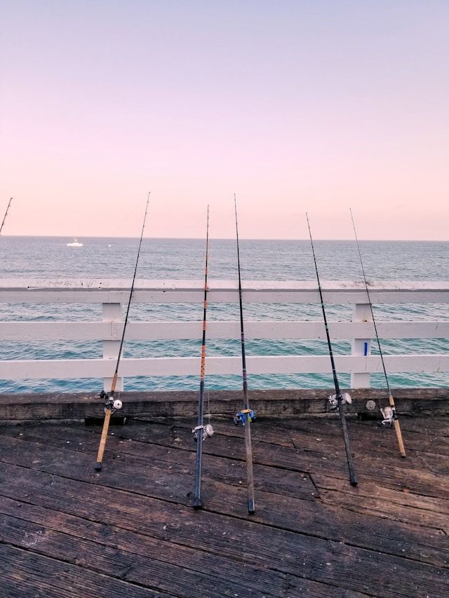  fishing rod for beginner fishing setup